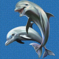 2,5 DIBUJO HAPPY DOLPHINS 2,19 x 2,56 m²1